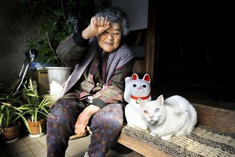 Бабушка и её верная кошка